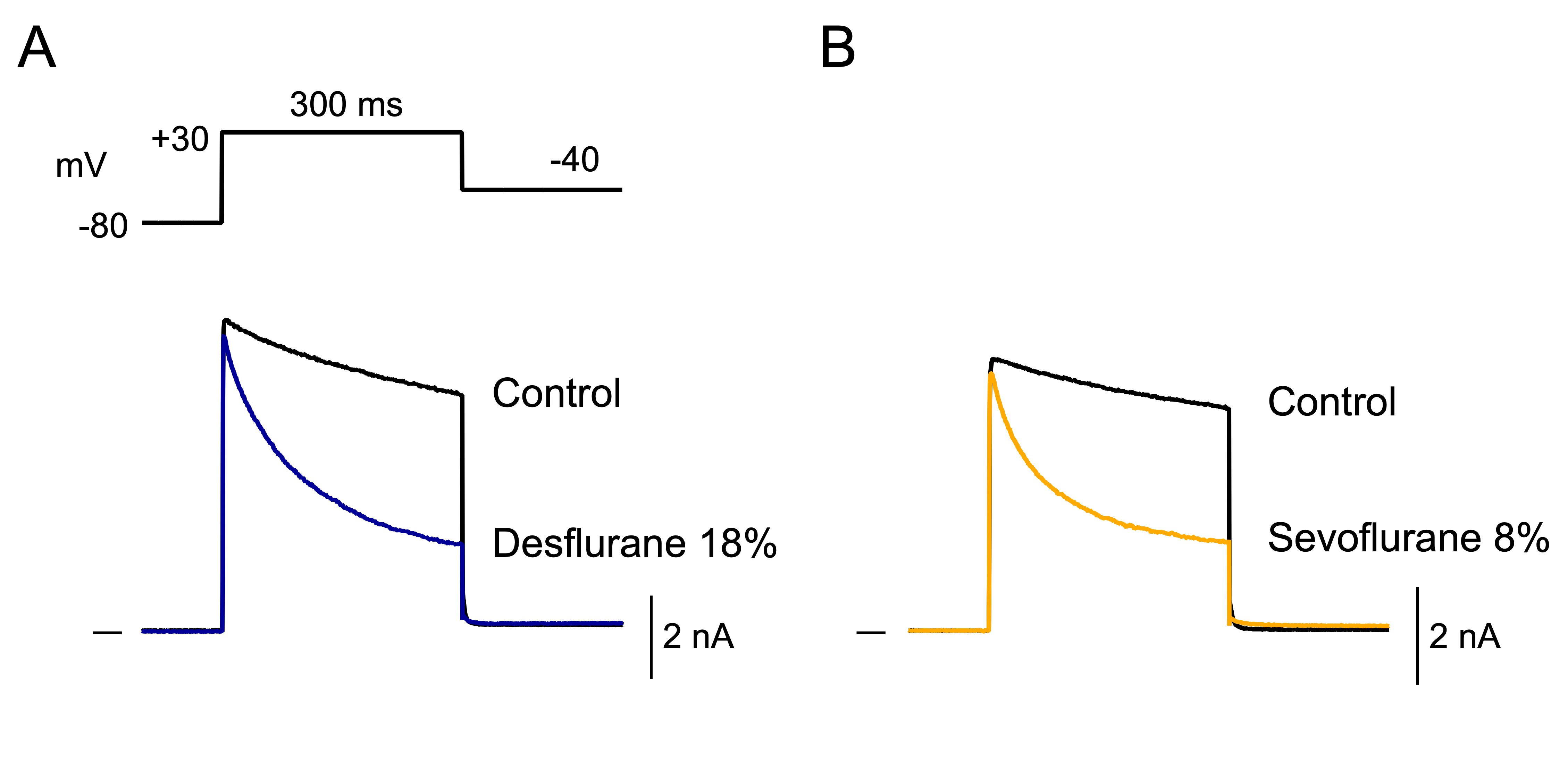 図１　デスフルランおよびセボフルランによるhKv1.5チャネル電流の抑制。